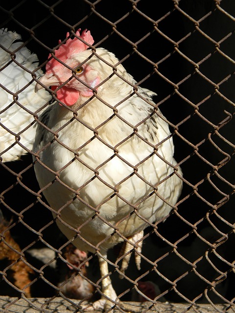 堪称经典 堪称经典