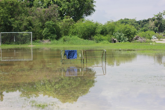 水晶宫的战 水晶宫的战