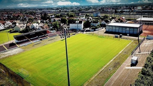 这场比赛将 这场比赛将